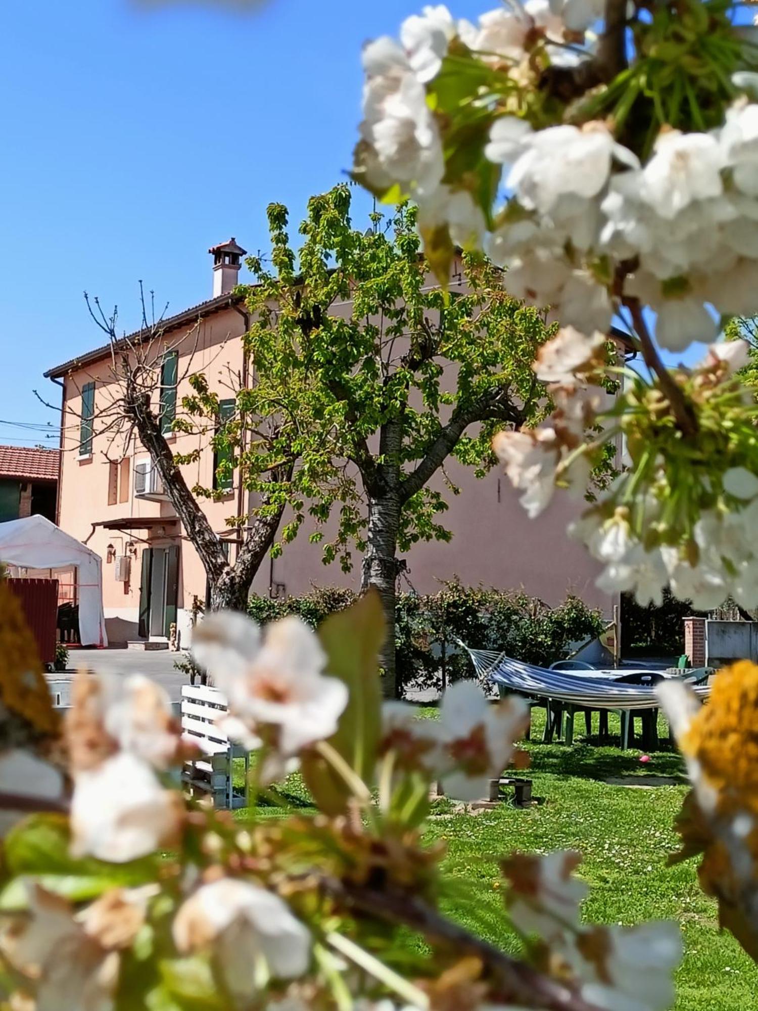 La Casa Della Nonna Bed & Breakfast Brisighella Ngoại thất bức ảnh